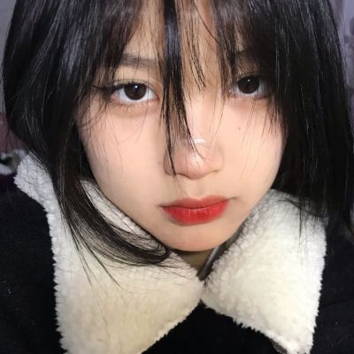 九州仙途bt手游下载
