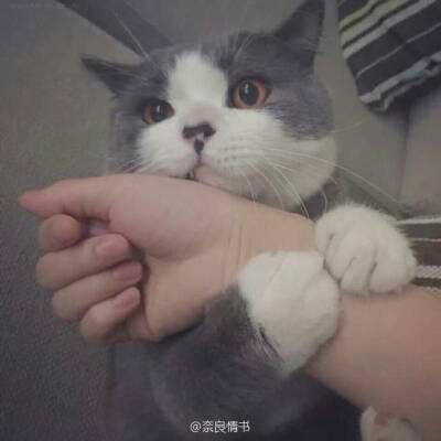水浒好汉升官记一元版下载